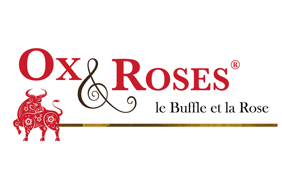Ox & Roses - Le Buffle et la Rose